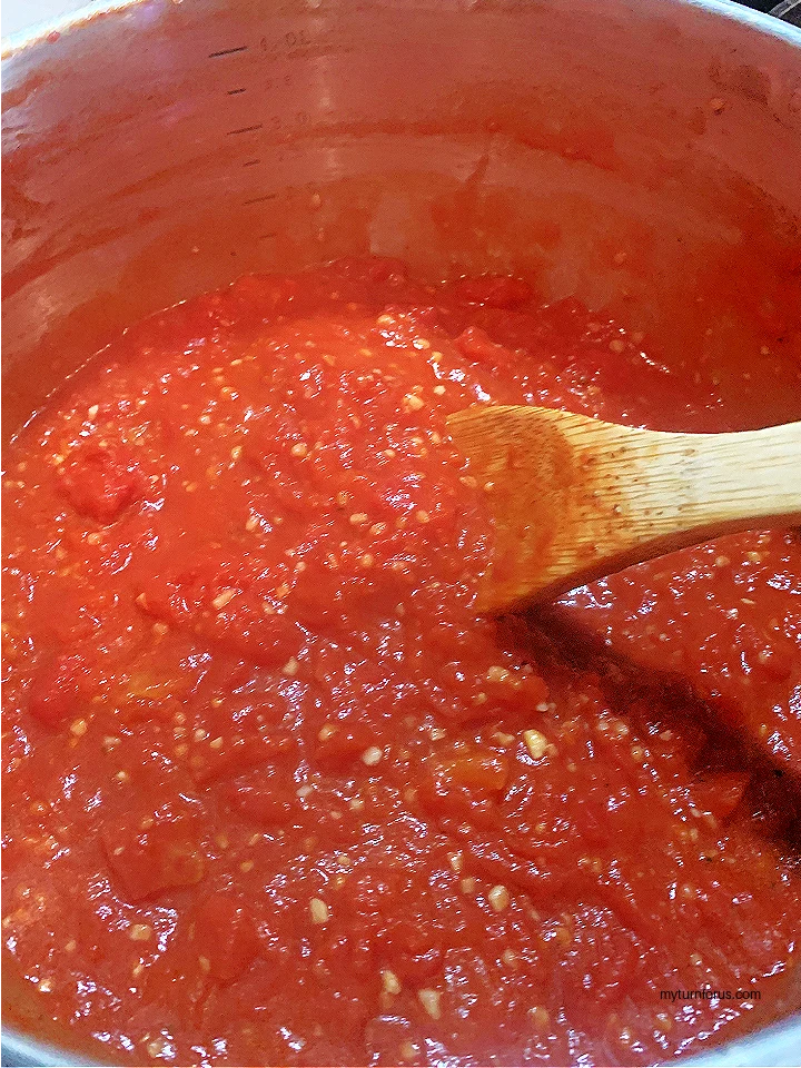 tomato and garlic pasta sauce