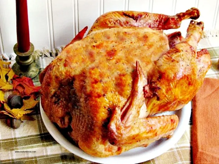 How to Cook a Turkey in a Roaster - Weekend Craft