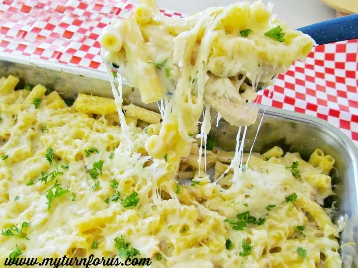 ziti chicken with bechamel sauce