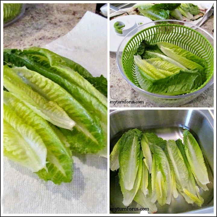 Fresh Lettuce, lettuce crisper, How to Keep Lettuce Fresh