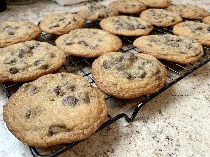 Chocolate Chip Pecan Cookies