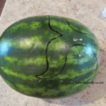 Watermelon Carving