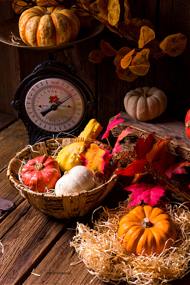 decorating for Fall on a budget