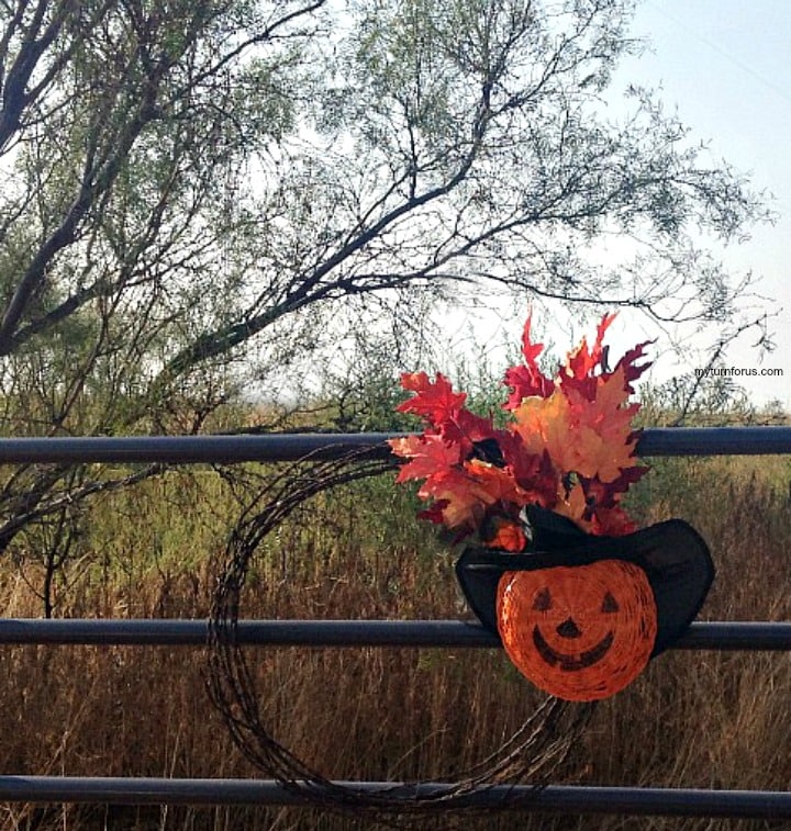 Dollar Tree Pumpkin Witch Halloween Yard Ideas