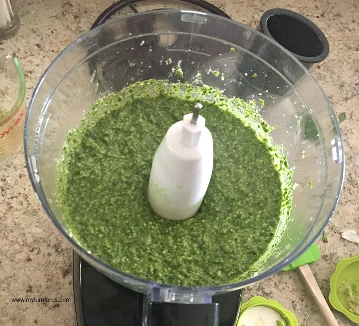 Making Organic Basil Pesto Sauce