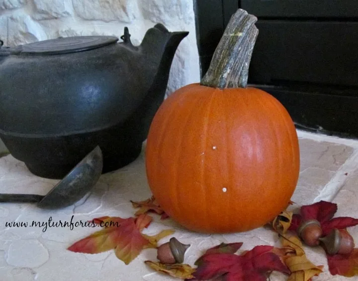 what to make with pumpkin, freezing pumpkin puree