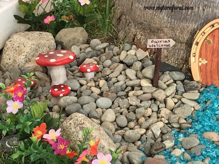 Fairy Garden