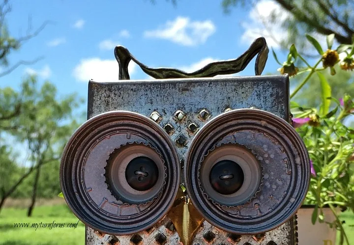 Completed owl eyes on a kitchen grater