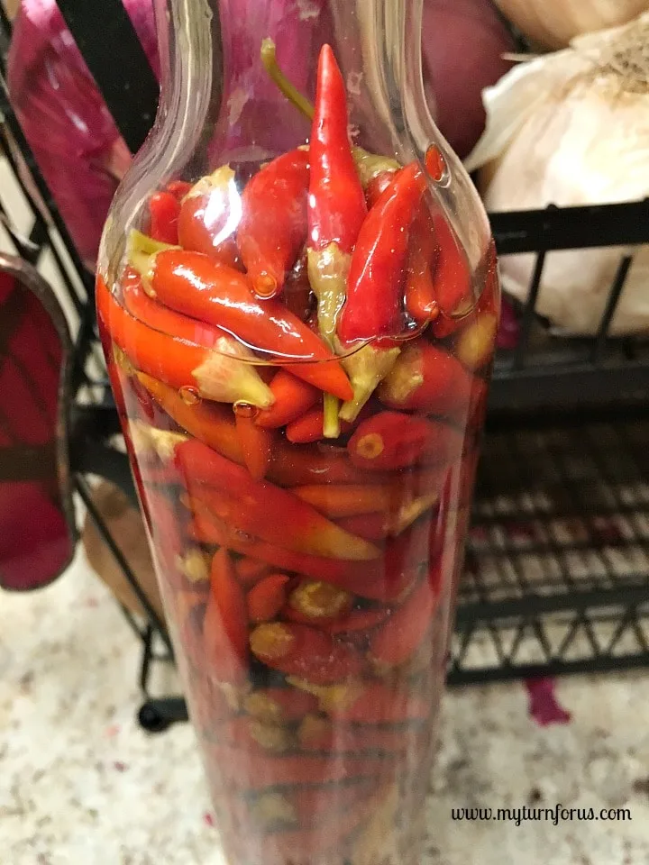 Make southern pepper sauce, tabasco peppers in vinegar, hot pepper vinegar recipe