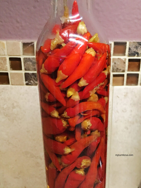 Tabasco Peppers in Vinegar My Turn for Us