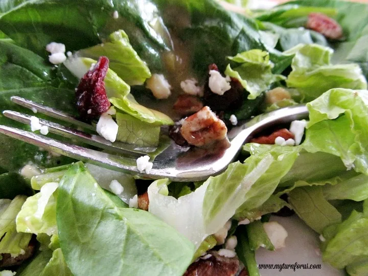 cranberry pecan salad, Green Salad with cranberries, French vinaigrette dressing