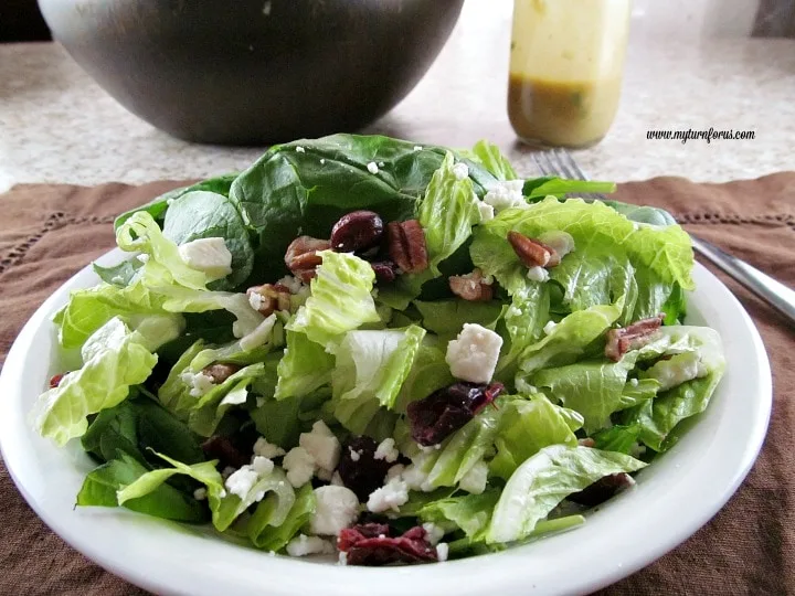 cranberry pecan salad, French vinaigrette dressing