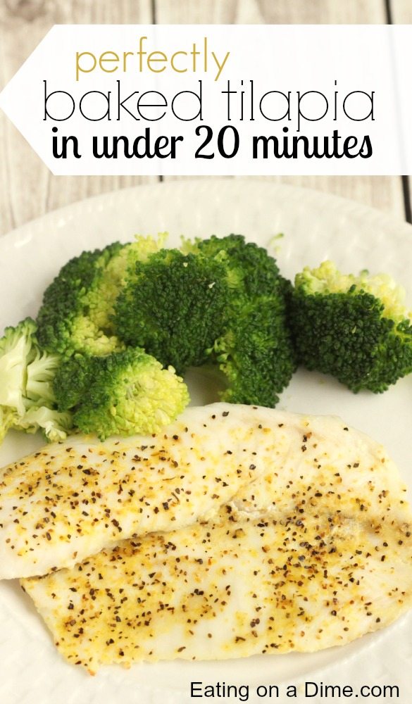 21 Low Fat Recipes and Low Carb Recipes My Turn for Us