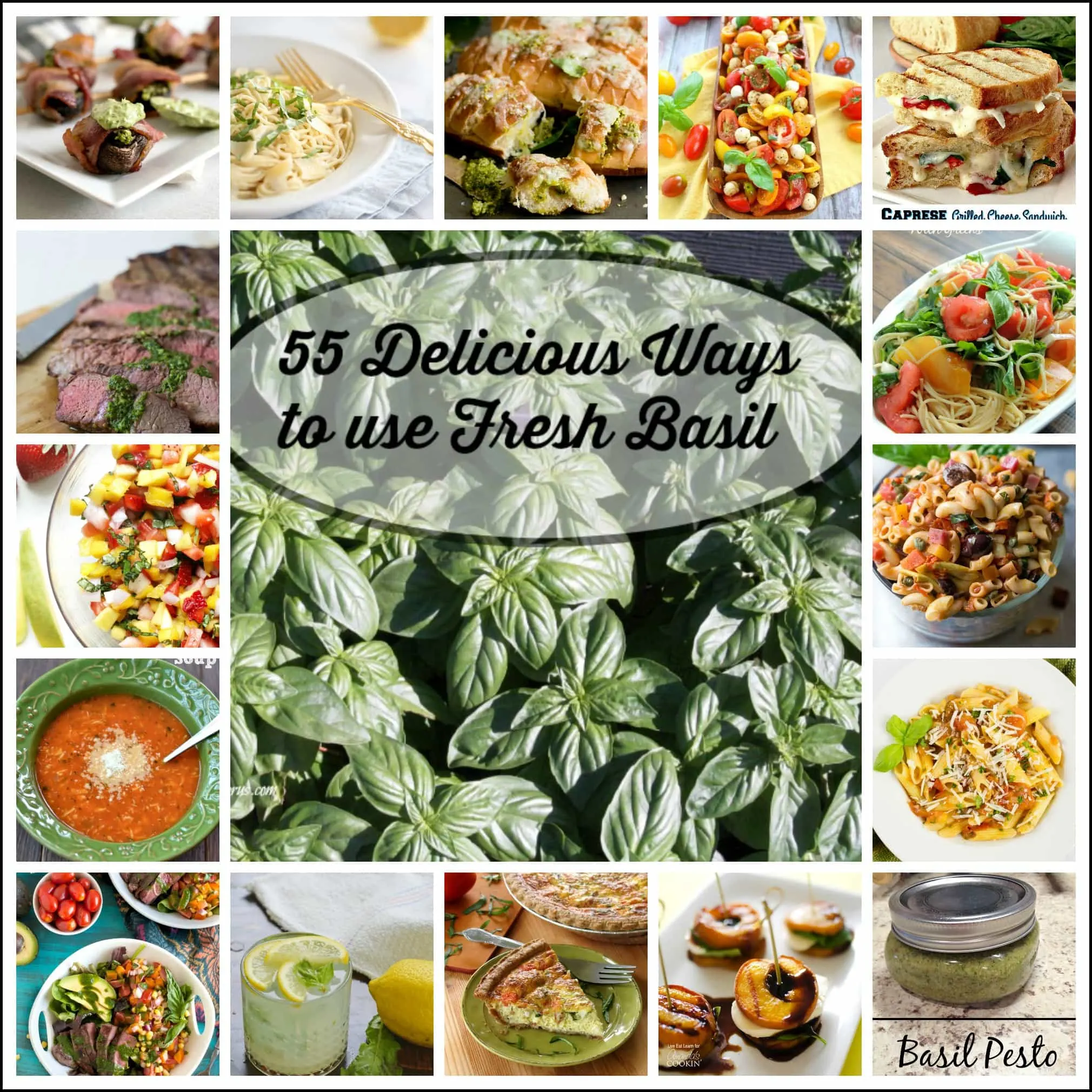 over 55 different sweet basil recipes that use fresh basil