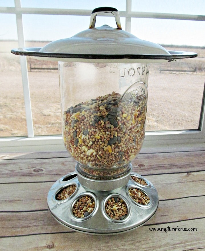 fits small mouth qt jar. galvanized chick feeder base 