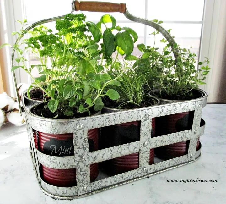 Herb Garden Kit, indoor herb garden