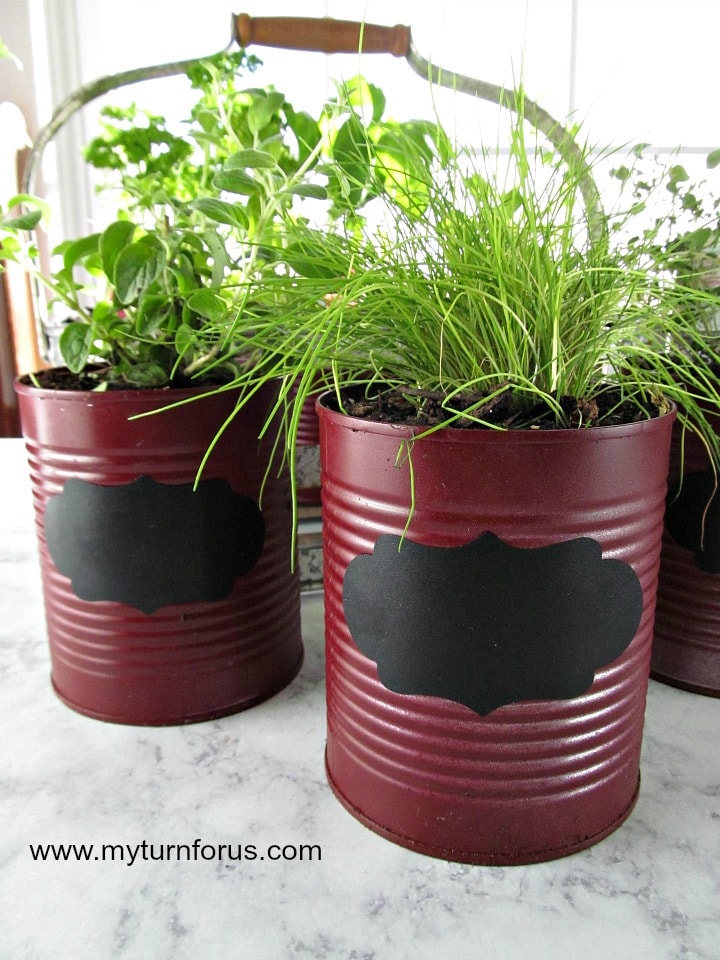 indoor herb garden kit 