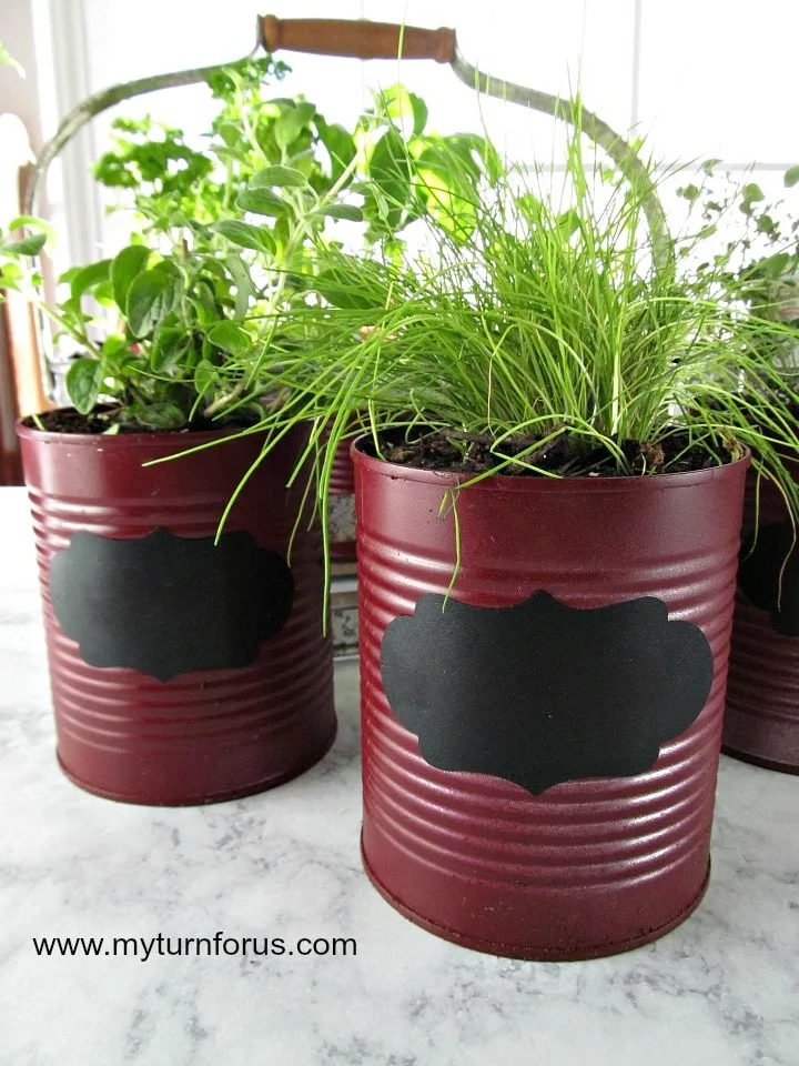 indoor herb garden kit 