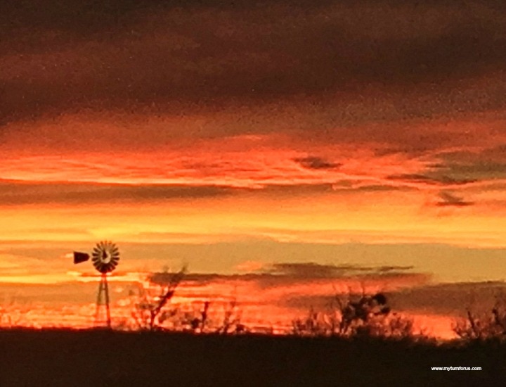 West Texas Windmill 