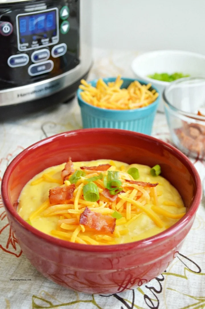 Campbells cheddar cheese soup recipe
