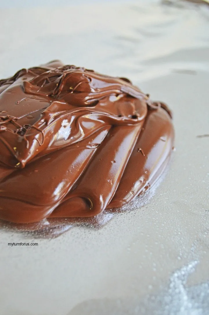 melted dark chocolate 