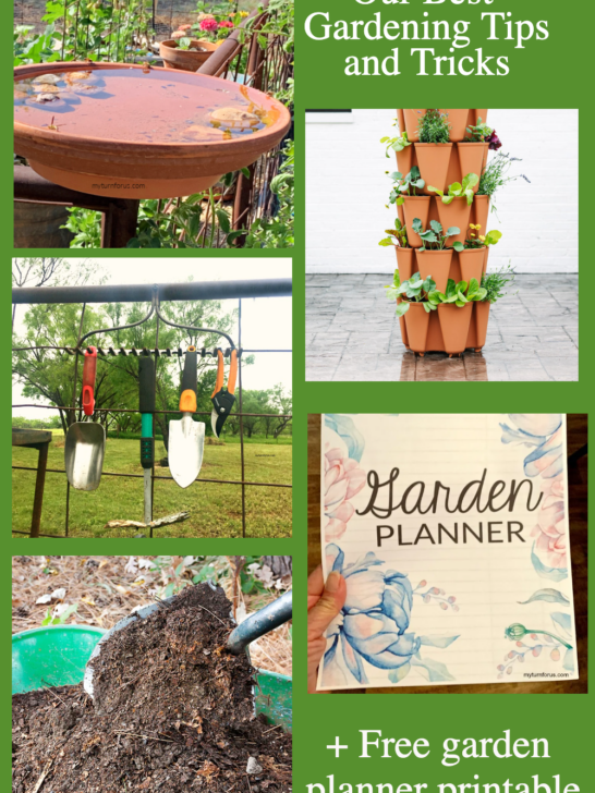 GardenPlan, Garden Planner, Garden Tricks, Garden Tips, Gardening, Bees In Garden .