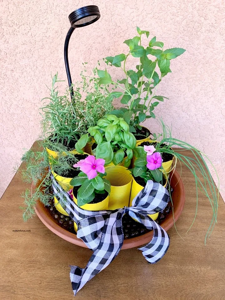 DIY indoor herb garden kit with grow light