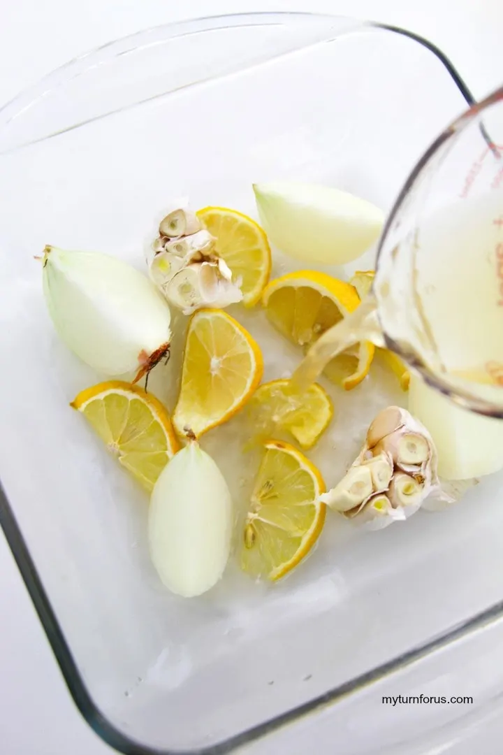 lemon, garlic and onion as base