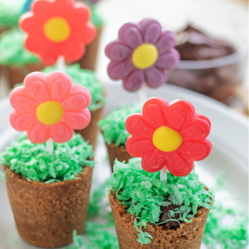 Flower Pot Dessert Cups