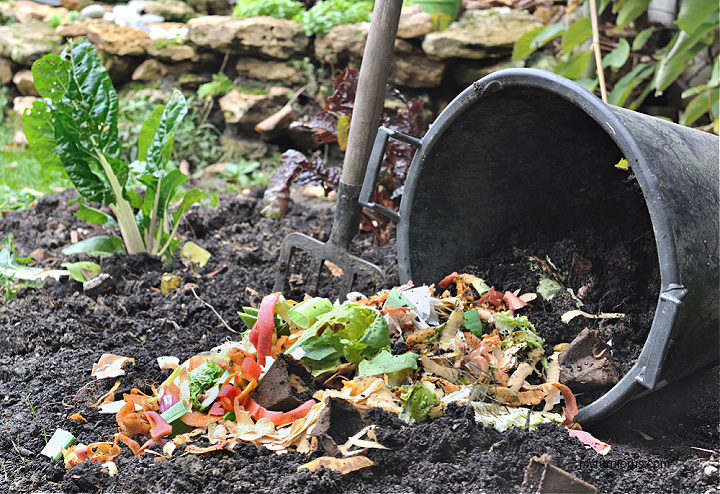 process of composting step by step