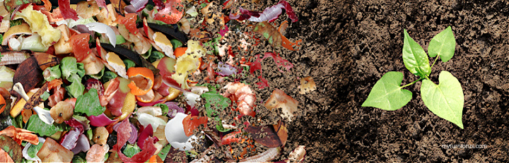 The Right Balance for your Compost for vegetables and garden and process of composting step by step