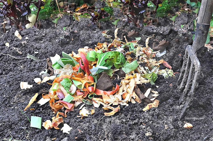 process of turning vegetables into compost 