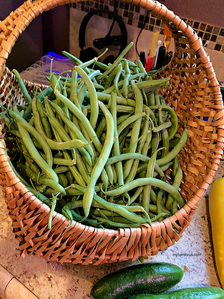 garden beans