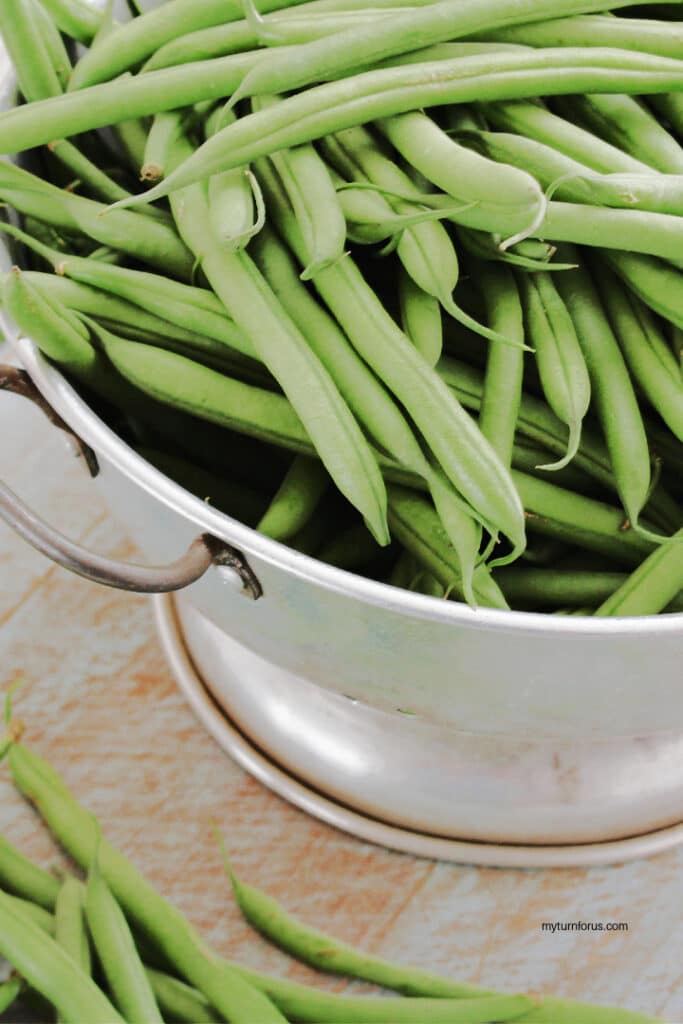 Green beans in colander to wash